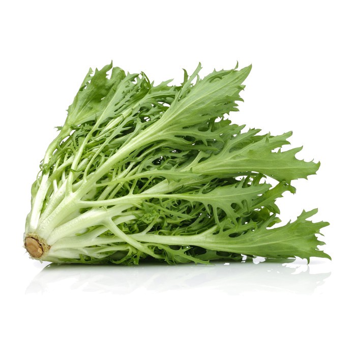 

Sayur Saladah Endive Paprici Selada Frisee Salanova endive 500gr