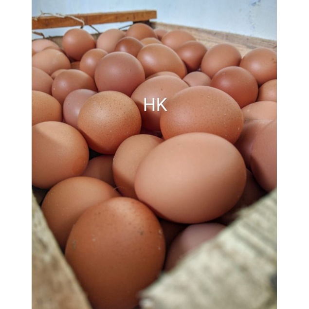 

TELUR AYAM MENTAH