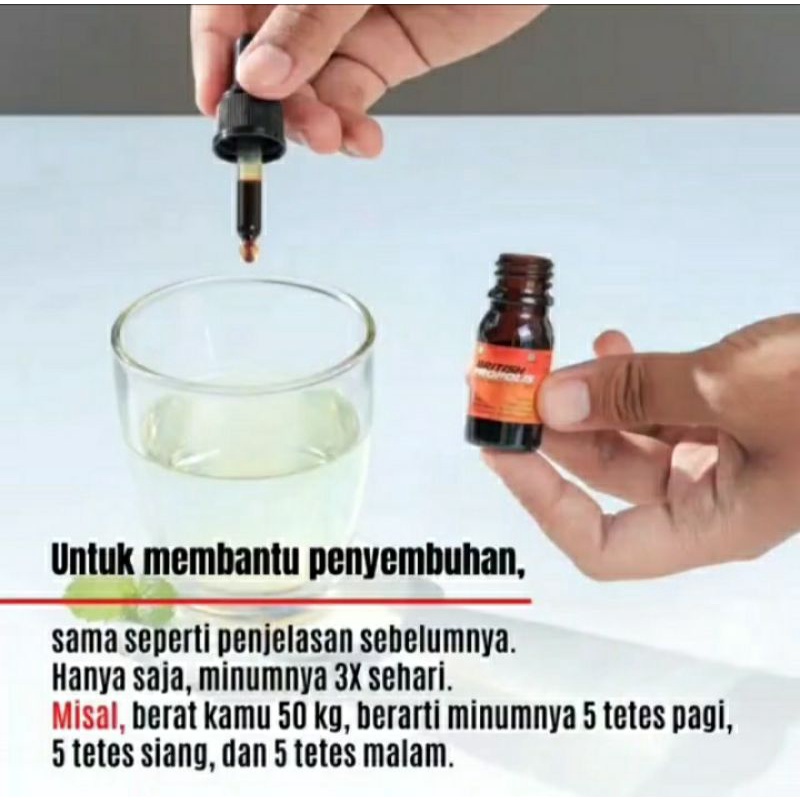 BP PROPOLIS