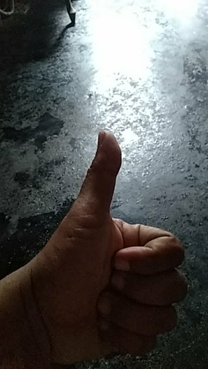 Benih Padi Unggul If16 Bibit Padi If 16 Bobot 5kg