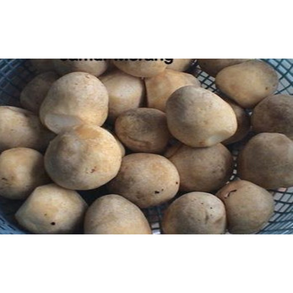 

Jamur Merang 1 kg