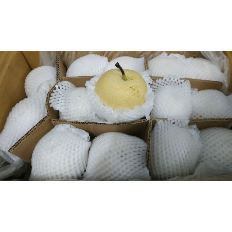 

buah pir kuning 1 kg