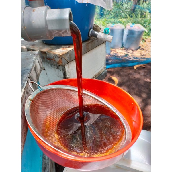 

Madu Hutan Riau