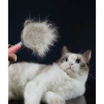 Sisir Bulu Kucing Anjing Pet Hair Sisir Rambut Binatang Peliharaan Hair Removal Comb - T9