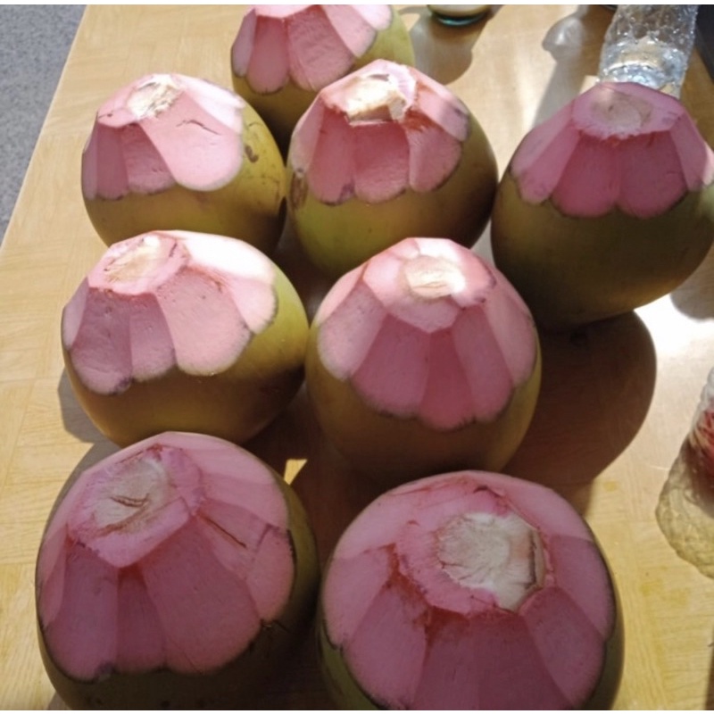

kelapa hijau/ kelapa ijo 1 buah