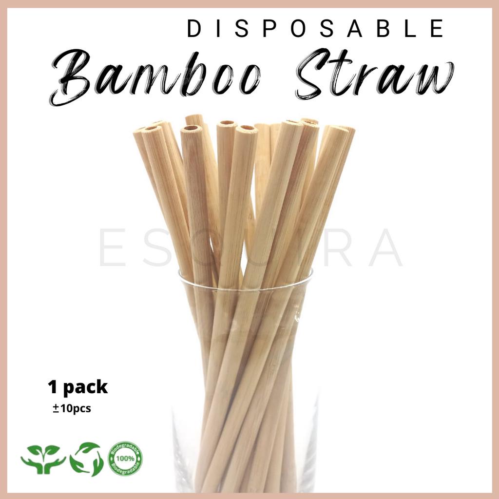 (10pcs) Bamboo Straw / Sedotan Pipet Bambu Reusable BSTRAW