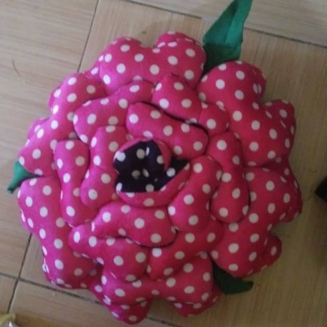 daissy54