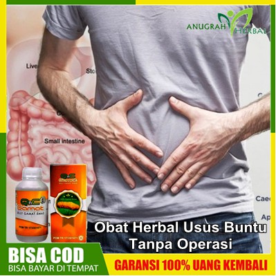 obat herbal radang usus, pembersih usus, radang usus, obat usus buntu, obat herbal usus buntu, obat 