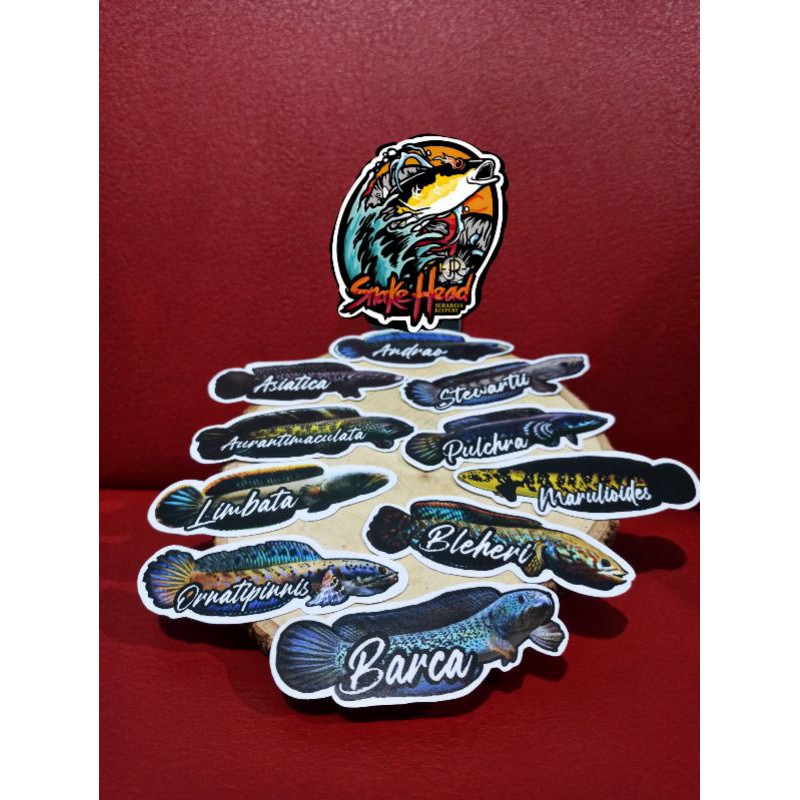 stiker logo ikan channa 1paket isi 10pcs
