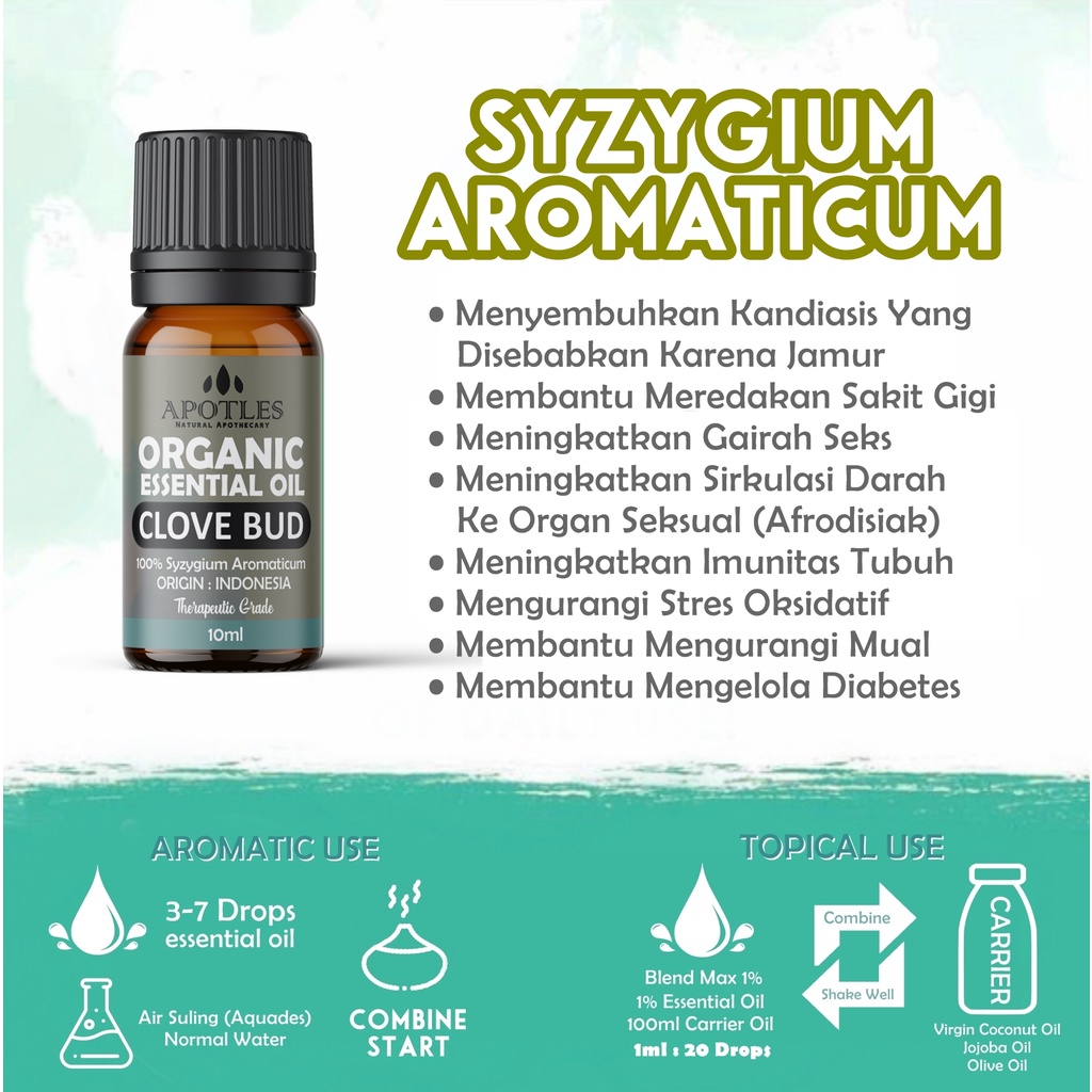 Clove Bud Pure Essential Oil - Minyak Aromaterapi Biji Cengkeh Clove Bud Essential Oil 10ml