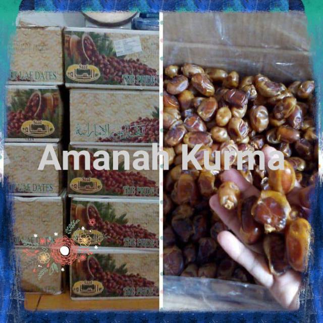 

kurma khalas 500gr Asli Gratis Ongkir - khalas Premium 500 gr - kurma ARAB