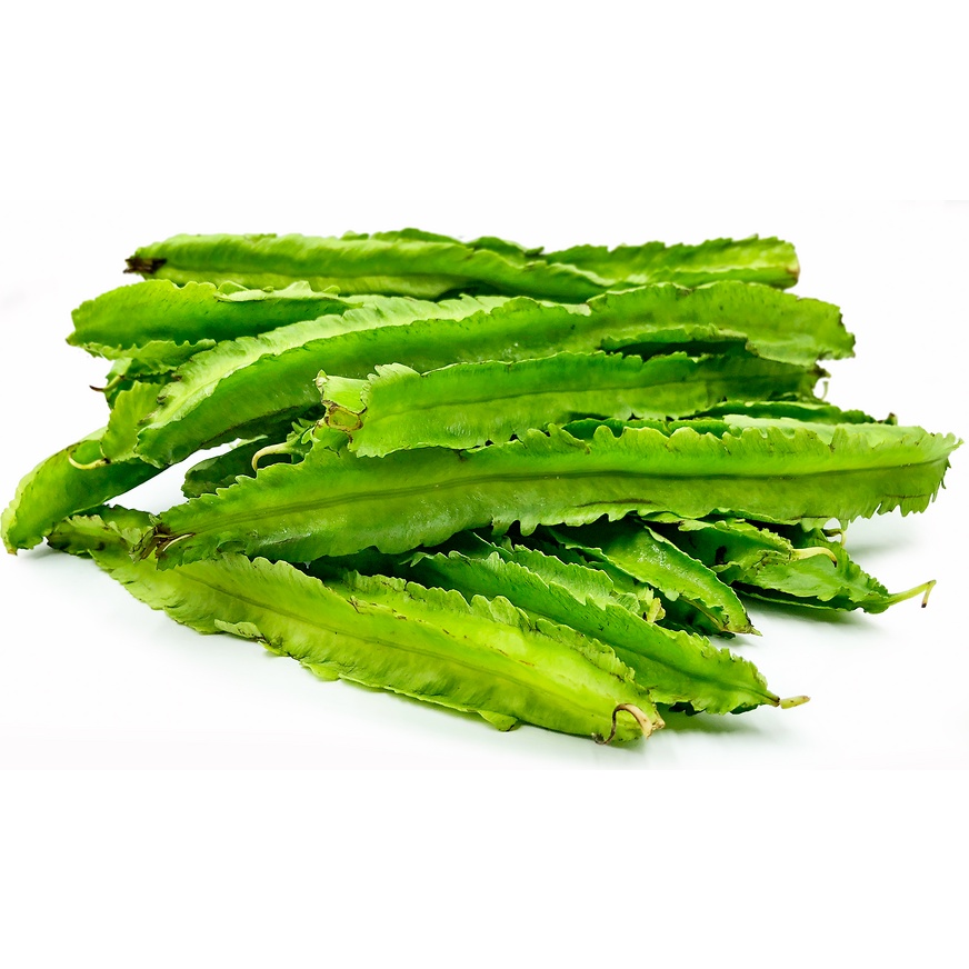 Benih Bibit Biji - Sayur Kecipir Hijau Green Winged Bean (Psophocarpus tetragonolobus) Seeds - Kualitas SUPER