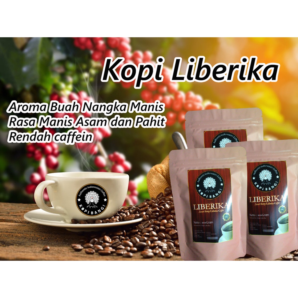 

KOPI LIBERIKA PETIK MERAH / KOPI LAMPUNG / KOPI LIBERICA KOPIBANG!