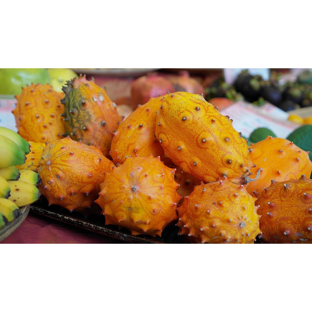 Benih-Bibit Melon Tanduk Kiwano (Haira Seed)