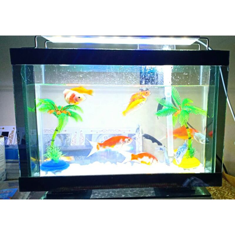 akuarium model led kandang ikan akurium kaca akurium tv aksesoris akurium