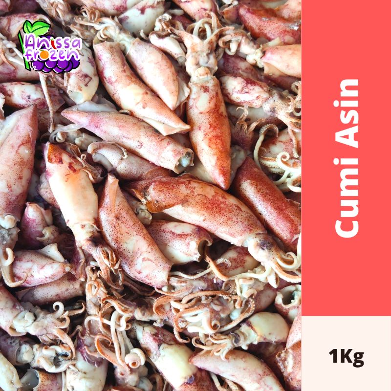 

Cumi Asin Kering Grade A Berat 1Kg