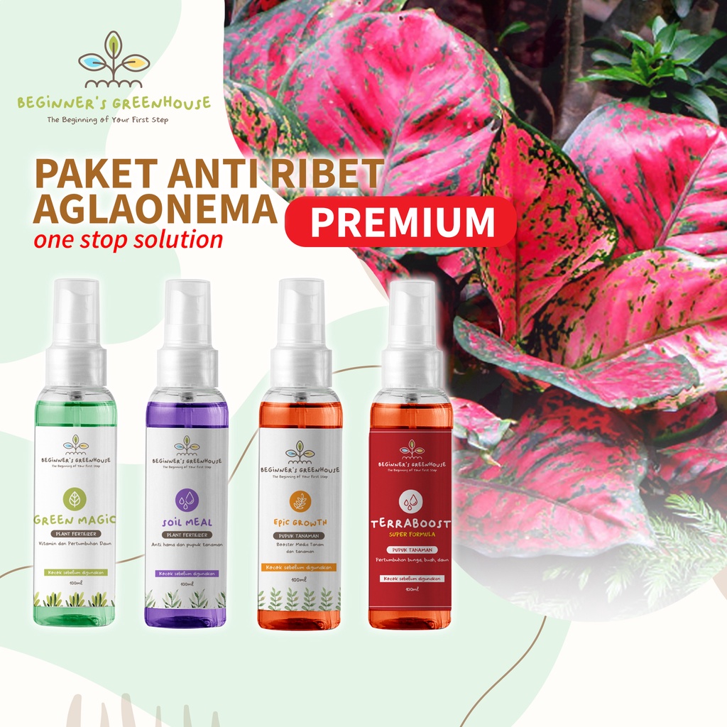 Paket Anti Ribet Aglonema Pupuk Pestisida Tanaman