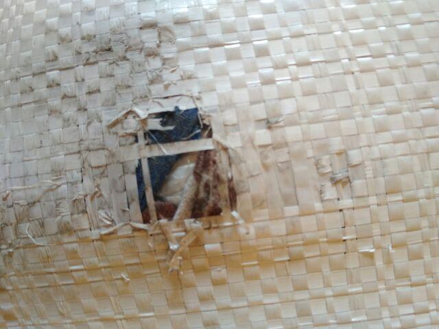 Kasur Inoac Yukata 200x160x30 Garansi 15 Tahun