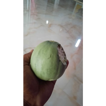 CELANA TRAINING PANJANG YONEX