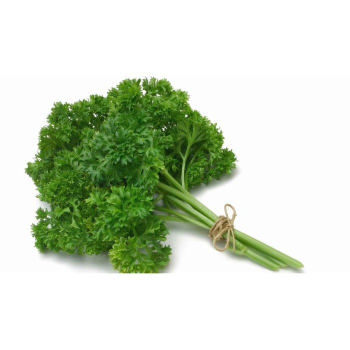 

New Daun Peterseli Parsley Segar Fresh Rempah Herbal Natural Obat Alami