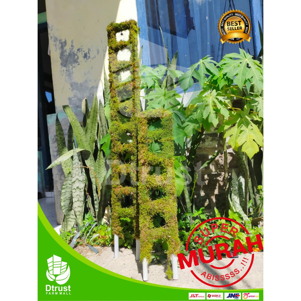 Turus Tangga Lumut Pipa 100 cm Tiang Penyangga Tanaman Moss Lumut Spagnum TERMURAH