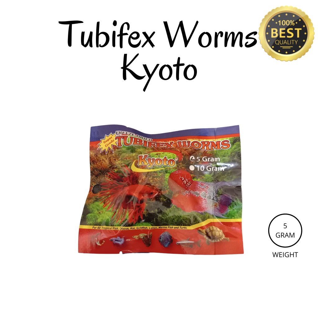 TUBIFEX WORMS CACING KERING DRIED TUBIFEX WORM WORMS