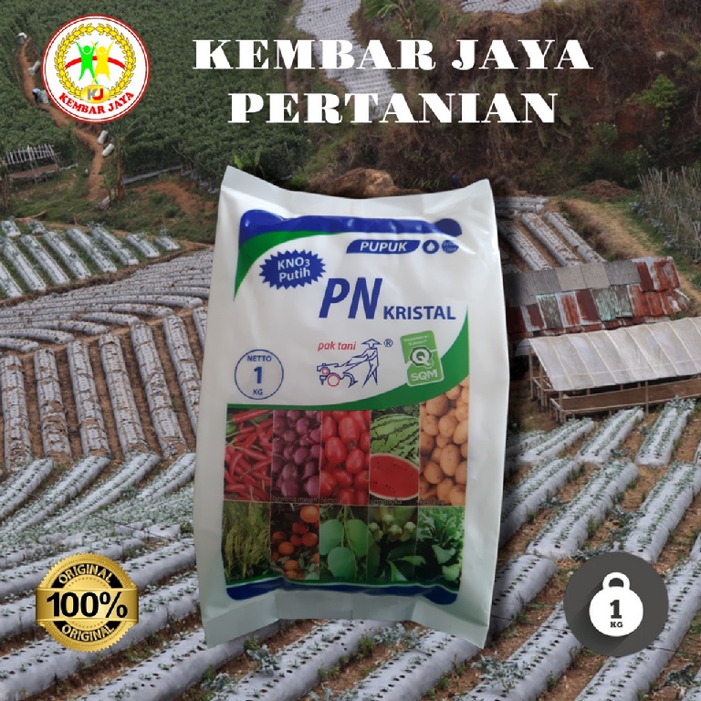 Pupuk Pemacu Buah,PN KRISTAL KNO3 PUTIH