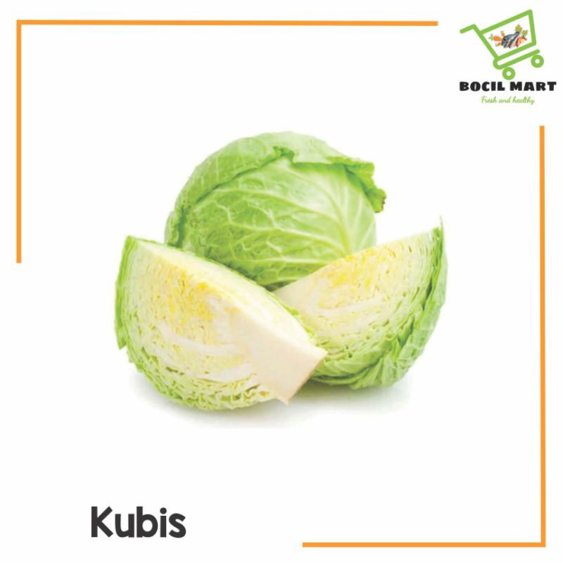 

[BOCIL MART] KUBIS / GUBIS / KOL