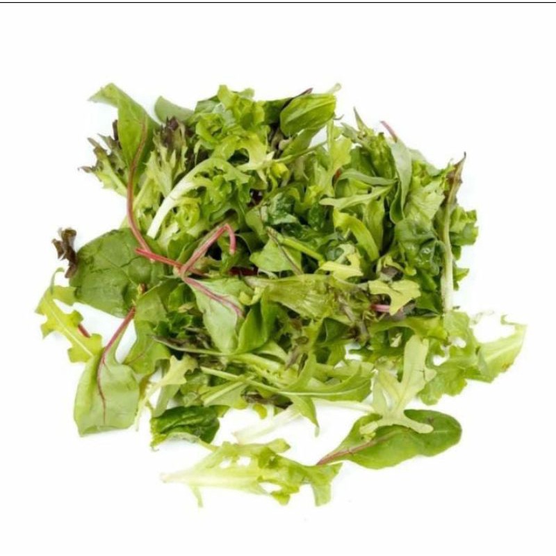 

Mecslun Baby Mix Salad 500gr