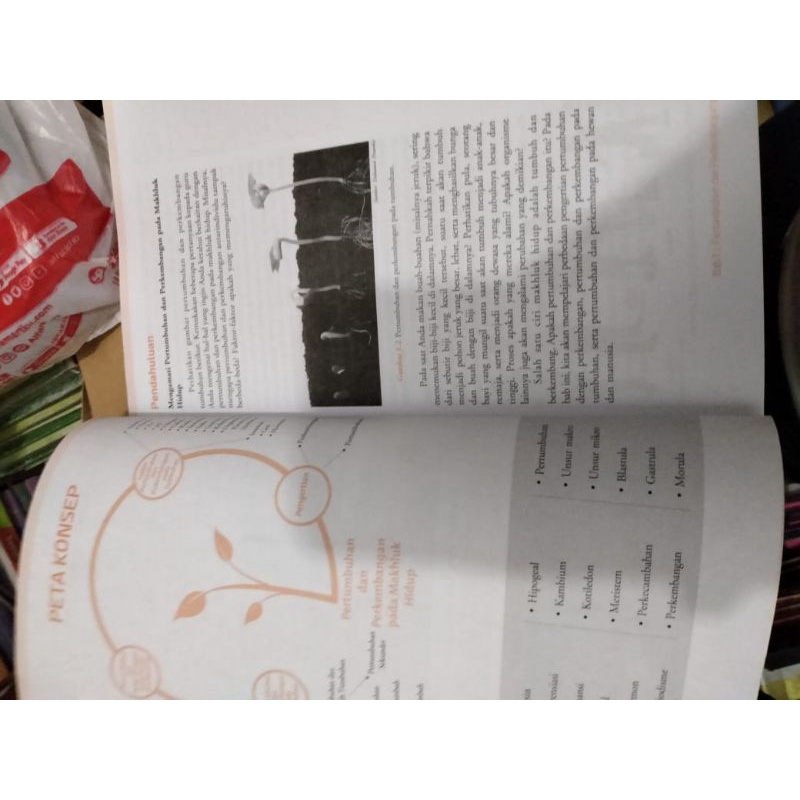 buku biologi kelas XII/12/3 sma Erlangga by Irnaningtyas-3