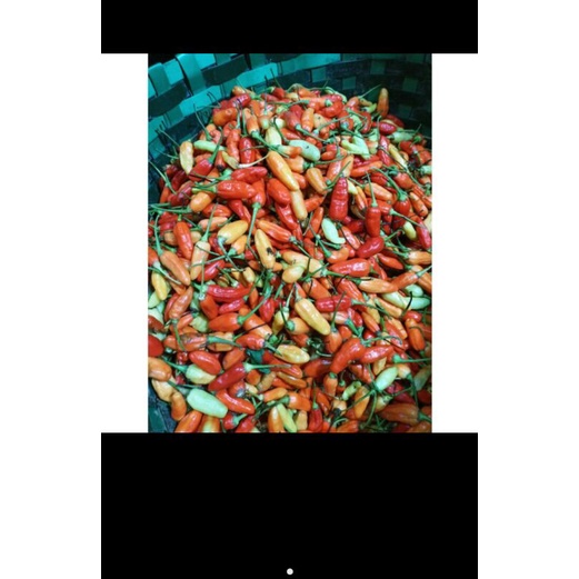 

rawit merah / 250 gram