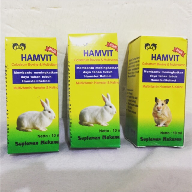 Vitamin Hamster Dan Kelinci