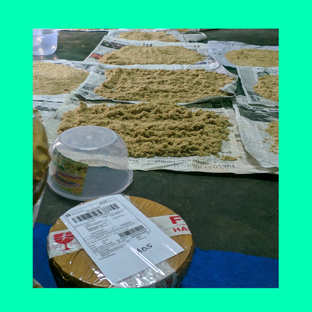 (Packing Besek) SIAP TETAS TELUR JANGKRIK ALAM SELIRING BIBIT JANGKRIK SIAP KIRIM