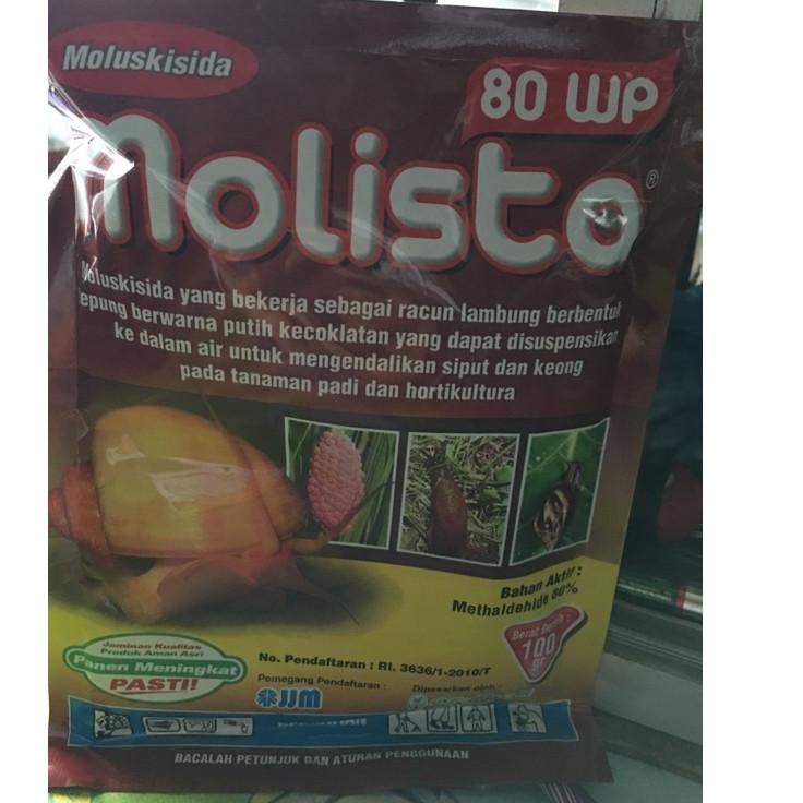 (PROMO DCL75) racun keong moluskisida molista molisto ukuran 100 gr ≛