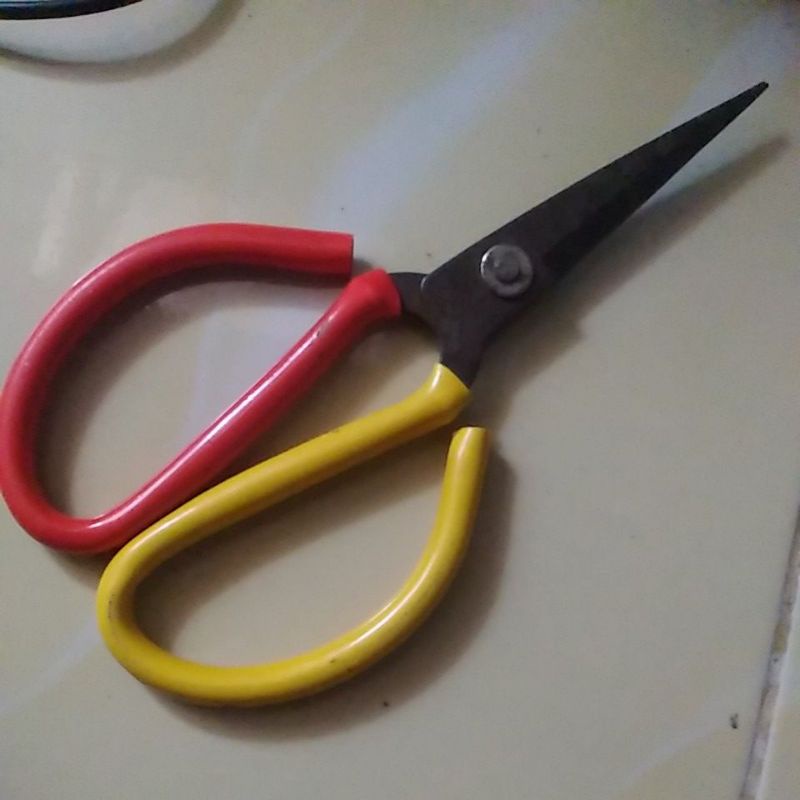 

gunting kodok