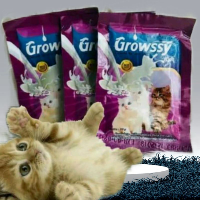 susu KUCING SUSU GROWSSY 3 SASET