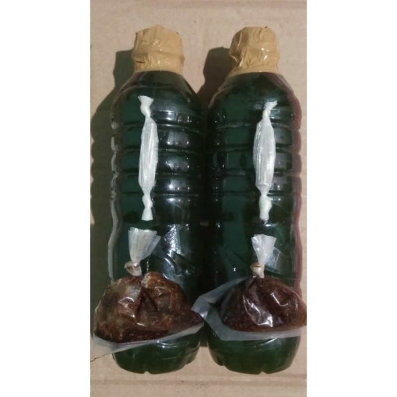 paket kultur kutu air moina marchocopa