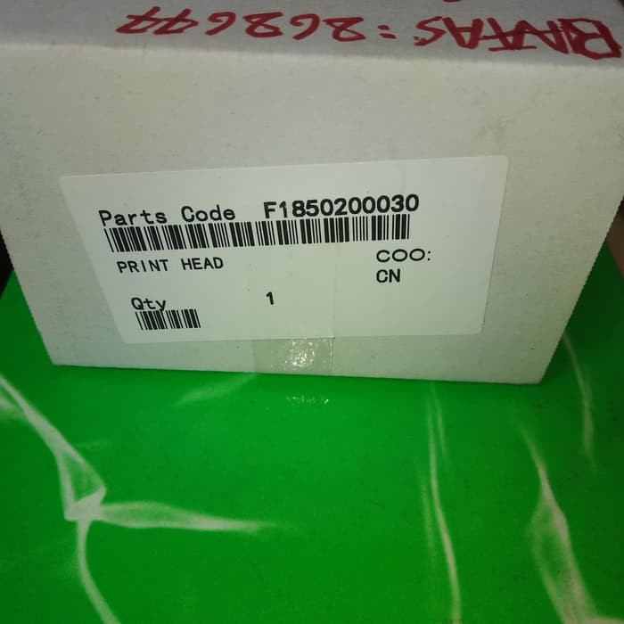 Print Head Epson T1100 L1300 New