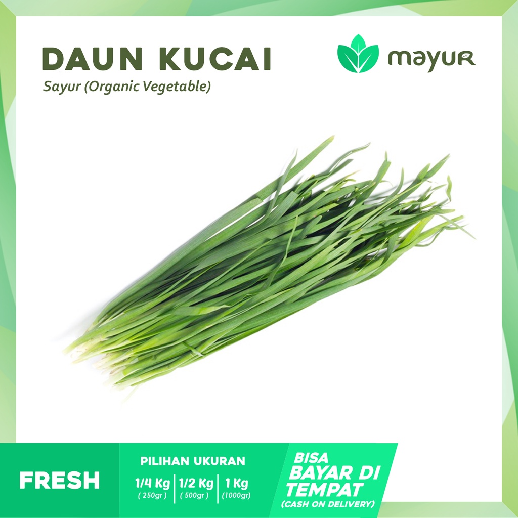 

Daun Kucai Segar ( 250gr | 500gr | 1 kg )