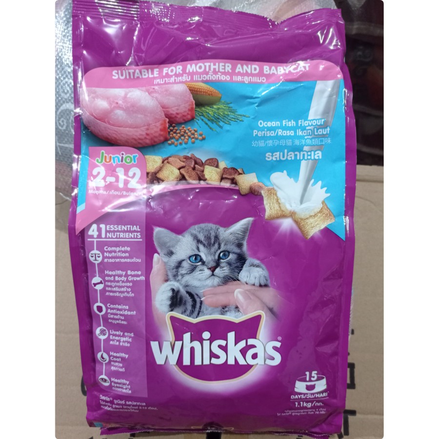 Whiskas dry junior 1,1 kg Freshpack makanan kucing 1,1kg