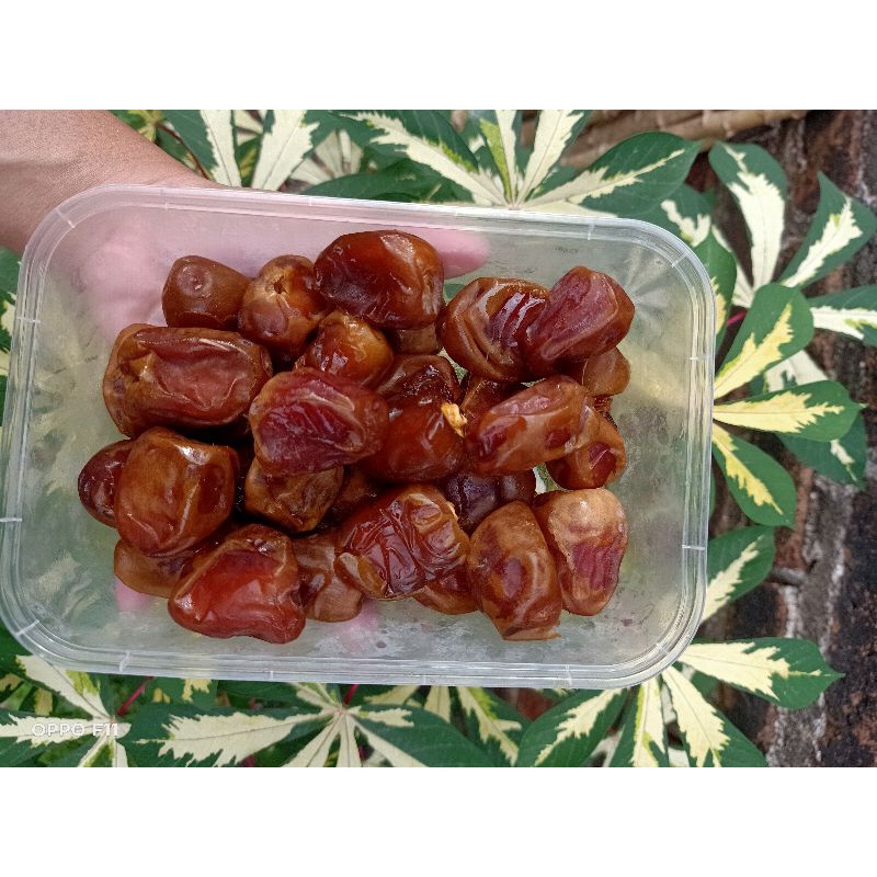 

kurma Sukari Al-haramain