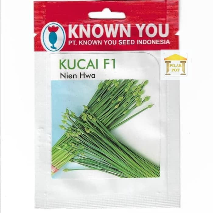 

Jual benih bibit sayur kucai f1 niew hwa known you seed - kys Diskon