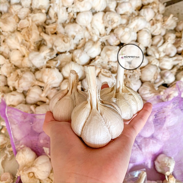 

Bawang Putih Kating 500 gram