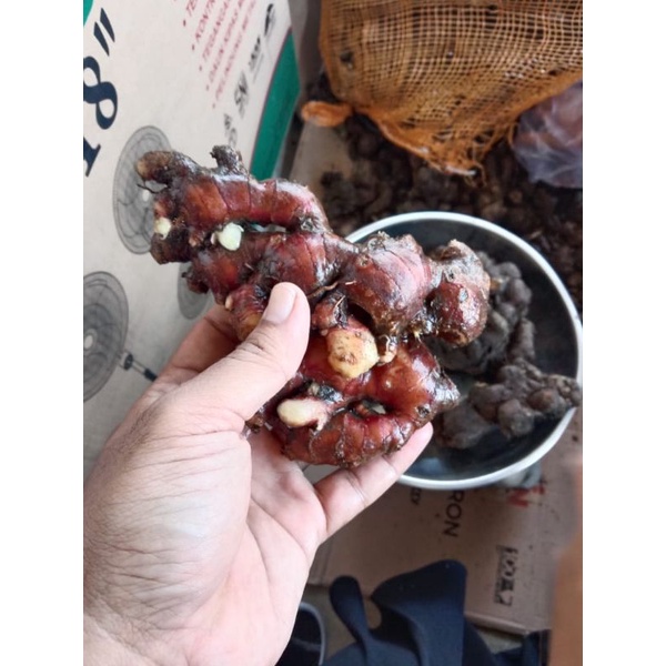 

Jahe Merah 1kg