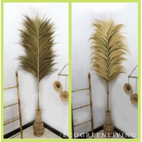 Rayung Stick / Bunga Kering / Dried flower / Bunga Hias / Natural Leaf Rayung Stick (Bundling isi 2)