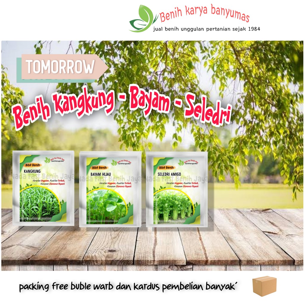 Benih sayuran kangkung bangkok bayam hijau seledri amigo import panah merah batang besar tall utah