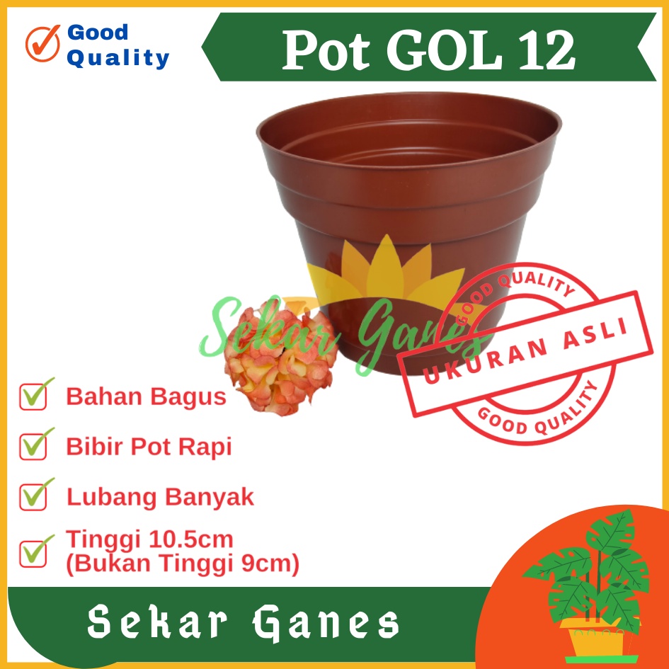 Pot 12 Cm Merah BataTerracota Terracotta Merah Coklat Polos - Pot 12 Hitam Kecil Mini Minimalis Plastik Kaktus Sukulen Mini Murah Pot Bibit Pembibitan