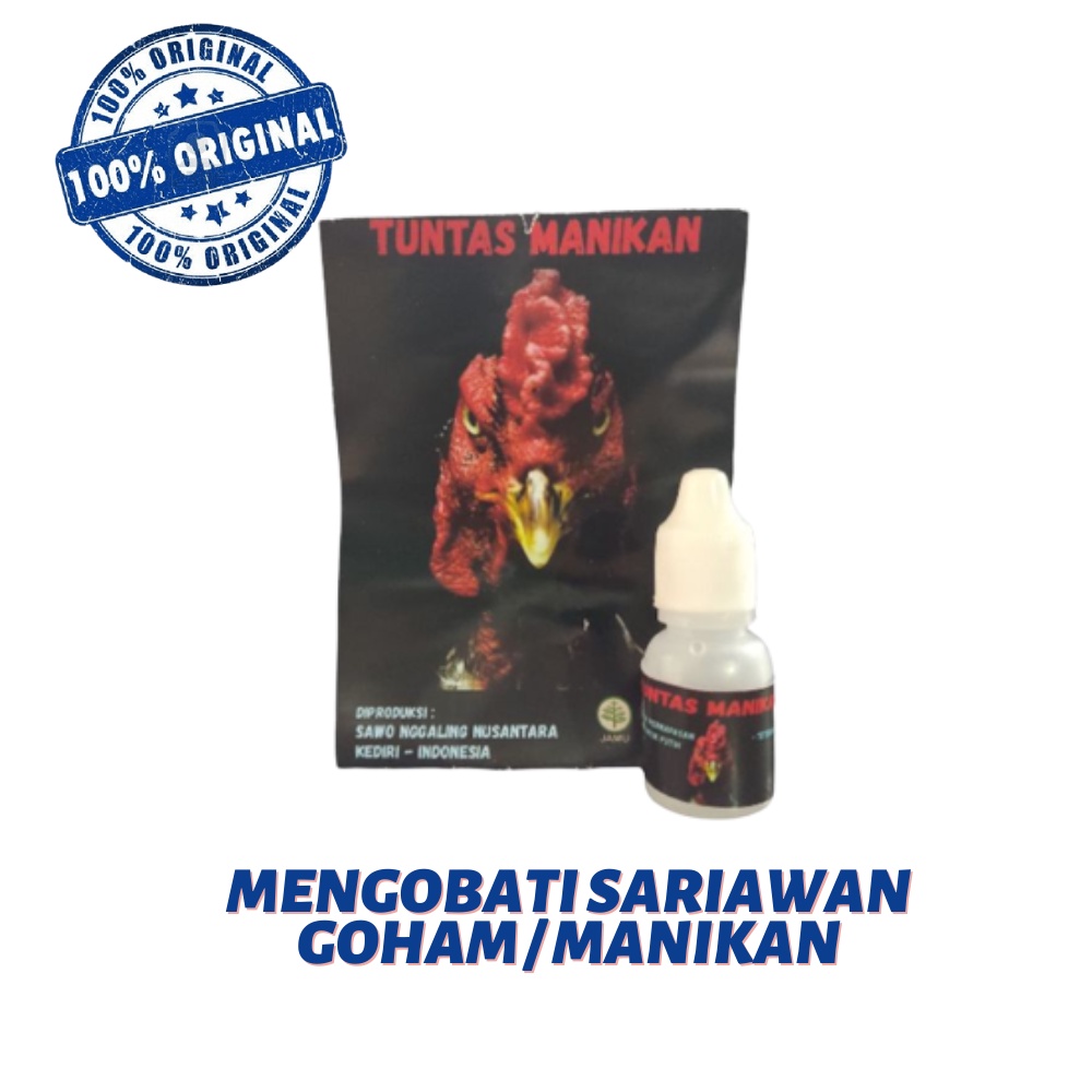 TUNTAS MANIKAN obat gom/ SARIAWAN