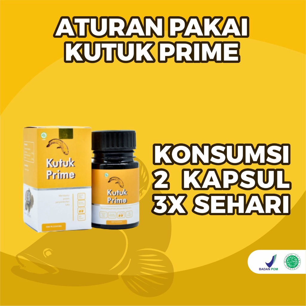 Paket 2 Botok Kapsul Kutuk Prime - 100% Ekstrak Ikan Gabus 5X lebih Cepat Mengeringkan Luka Operasi Sembuhkan Diabetes Cepat Keringkan Luka Operasi Turunkan Kadar Gula Cegah Infeksi Pada Luka Cegah Keloid Atasi Luka Bakar