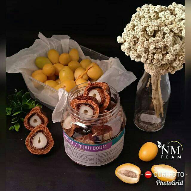 

Kurma Muda Promil Sunnah